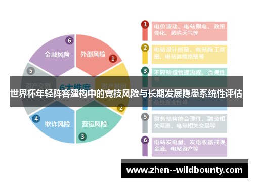 世界杯年轻阵容建构中的竞技风险与长期发展隐患系统性评估 世界杯年轻阵容建构中的竞技风险与长期发展隐患系统性评估