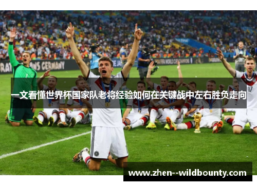 一文看懂世界杯国家队老将经验如何在关键战中左右胜负走向 一文看懂世界杯国家队老将经验如何在关键战中左右胜负走向