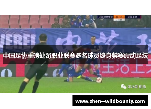 中国足协重磅处罚职业联赛多名球员终身禁赛震动足坛