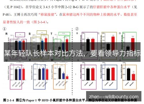 某年轻队长样本对比方法,要看领导力指标 某年轻队长样本对比方法,要看领导力指标