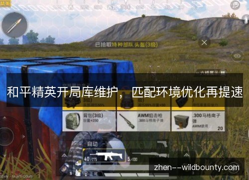 和平精英开局库维护,匹配环境优化再提速 和平精英开局库维护,匹配环境优化再提速