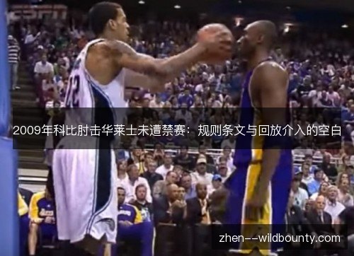 2009年科比肘击华莱士未遭禁赛:规则条文与回放介入的空白 2009年科比肘击华莱士未遭禁赛:规则条文与回放介入的空白